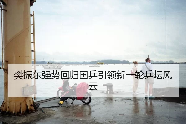 樊振东强势回归国乒引领新一轮乒坛风云